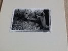 sunn O))) White Box - 4LP plus collector card.  brand new / sealed.  #165/500