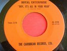 Garage-Psych-Fuzz 45 ROYAL ENTERPRISE Boy, It's All In Your Head CARIBBEAN NM-