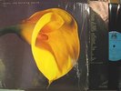 SWANS The Burning World ** orig. US issue 1989 in shrink w/ custom inner sleeve