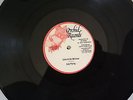 WATTY BURNETT - OPEN THE GATE // LEE PERRY - LION A DE WINNER / ORCHID RECORDS