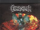 CONQUEROR - war cult supremacy LP