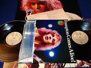 PETER FRAMPTON FRAMPTON COMES ALIVE JAPAN OBI 1ST PRESS POSTER AUDIOPHILE MINT-
