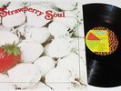 BILLY MARTIN -  STRAWBERRY SOUL CANADIAN FUNK LP **ORIGINAL** TRANS WORLD LABEL