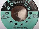 RUBY ANDREWS  JUST LOVING YOU / THE LOVE I NEED 45 on Zodiac 1010