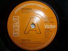 OFFSPRING.   WINDFALL.  1972 RCA 45. DEMO.  JOHN HOWARD