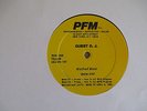 PFM RADIO SHOWS-RICK WRIGHT(EX-PINK FLOYD)- MANFRED MANN - VINYL 3 LP RECORDS -