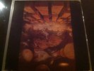 Algarnas Tradgard - Framtiden Är Ett... LP SILENCE RECORDS RARE SWEDISH PSYCH