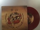 The Story So Far - Stick To Your Guns Split (Oxblood Red) Title Fight Terror