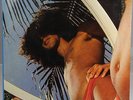 CAETANO VELOSO ARACA AZUL 1973 PHILIPS BRAZIL LP PSYCH TROPICALIA GILBERTO GIL
