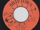 70s Soul 45 - Barbara Stant - You've Got To Try It Again - Shiptown - mp3