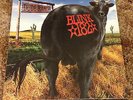 Blink-182 - Dude Ranch - MTS Green Transparent Vinyl - Rare Limited to 500