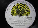 THOMAS MAPFUMO & THE BLACKS UNLIMITED - AFRO SOUL ZIMBABWE CHIMURENGA - AFRICAN
