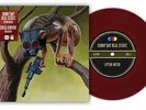 Sunny Day Real Estate / Circa Survive- split  7