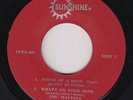 Ska Reggae EP - V/A (ft. Blues Busters & Virtues) - Dance The Ska -Sunshine- mp3