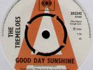 TREMELOES   GOOD DAY SUNSHINE   1966 UK 