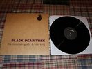 The Mountain Goats & Kaki king - black pear (come to sunset tree sweden rsd oop)