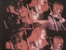 LED ZEPPELIN-LP- WHITE SUMMER- COLOURED