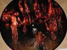 Cannibal Corpse TORTURE Picture Disc LIMITED EDITION UK RSD 2014 New Vinyl LP