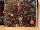 Dragonfly Self Titled Original Pressing Lp  Psych Fuzz Garage Look