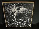 NEIL YOUNG & PEARL JAM 1995 DOUBLE 2 LP MIRROR BALL 1995 NM W/Insert