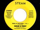 Modern Soul 45 SUGAR & SPICE Who Is The Fool Steam HEAR