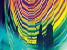 TAME IMPALA LIVE VERSIONS VINYL LP RSD 2014 RECORD STORE DAY NEW SEALED