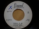 RARE NORTHERN SOUL   RICHARD TEMPLE  could it be  MIRWOOD 5532  PROMO  MINTY