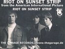 STANDELLS riot on sunset strip HEAR + PS VG++ / MINT- 60s GARAGE beat MOD