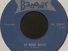 VAQUEROS 80 Foot Wave 7