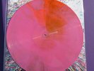 Flaming Lips / Stone Roses /KE$HA/The Time Has Come To Shoot You Down-LP RARE