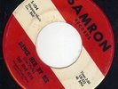 PA Garage The Five Flys SAMRON 104 (( ? )) Livin' for love