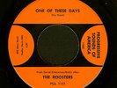 The ROOSTERS 