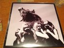 The Dead Weather I Cut Like A Buffalo 8