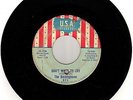 garage fuzz BUCKINGHAMS Don't Want To Cry / Summertime USA   HEAR