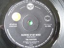 EXCITERS 