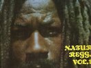 NATURAL REGGAE VOL 2 V/A LP/SKINHEAD REGGAE/BAMBOO BDLP204..RARE..LISTEN COXSONE