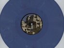 Salva - Complex Housing Vinyl US LP
