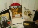 HUGE Punk Vinyl LP Lot: Blink 182 Green Day A Day to Remember Offspring & MORE