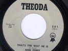 northern soul 45 ANN PERRY THEODA 201 THAT'S THE WAY HE IS