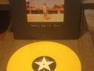 New Found Glory Vinyl LP Nothing Gold Can Stay Gold Vinyl OOP New/Unplayed