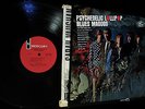 TOPS 1966 MONO THE BLUES MAGOOS   PSYCH LOLLIPOP GARAGE We Aint Got Nothin Yet