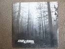 THE CURE - A Forest RARE 12'' Pic Sleeve