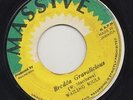 '77 MASSIVE REGGAE 45 THE WAILING SOULS BREDDA GRAVALICIOUS ?