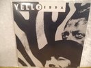 Yello?   Zebra