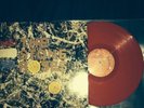 The Stones Roses - The Stone Roses LP - Rare Red Vinyl - ORELP501 - Nr. Mint