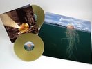 Mars Volta De-Loused in the Comatorium 2x 180gm GOLD VINYL LP Record at drive in