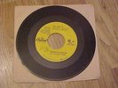 RARE Beach Boys  Salt Lake City / Amusement Parks U.S.A.  Promo Record