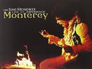 Jimi Hendrix Experience - Live at Monterey  180g Vinyl LP RSD 2014 Numbered  NEW