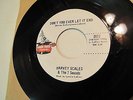 Harvey Scales-Don't Ever Let It End/The Sound Of Soul-Northern Soul 45-Listen