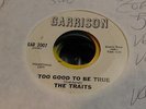 The Traits - Too Good To Be True VG to VG+ (A) VG (B) Texas Northern Soul 45 RPM